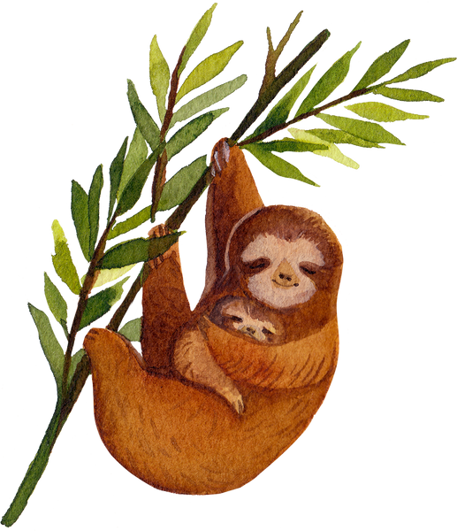 Watercolor Baby & Parent Animals Sloth